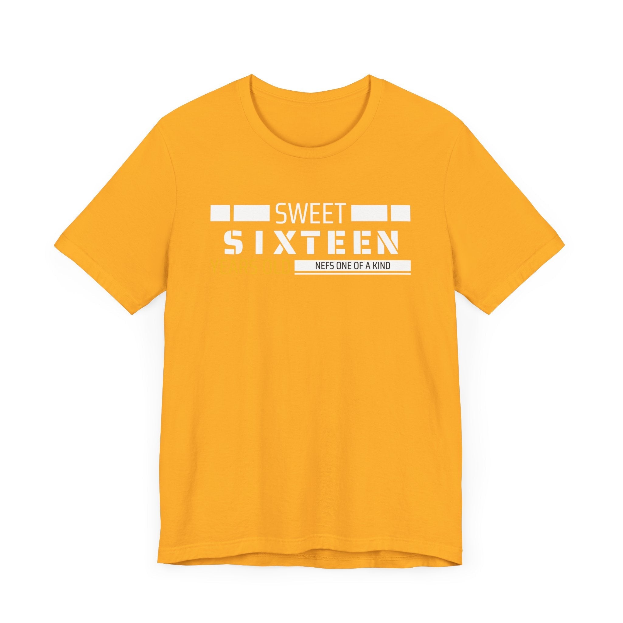 Sixteen year old Unisex Adult Tee